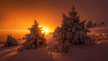 Winter sunset, winter, snow, slope, trees, beautiful, orange, sunset, mountain, sky HD wallpaper