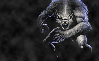 Fantasy, Fog, Wolf, Bounce, Jump, Werewolf HD wallpaper