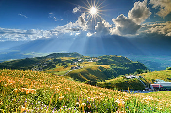 Nature, Flowers, Mountains, Sun, Clouds, Lilies, Beams, Rays, Slope HD wallpaper