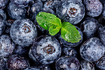 Blueberries, berries, green mint leaf, close up HD wallpaper