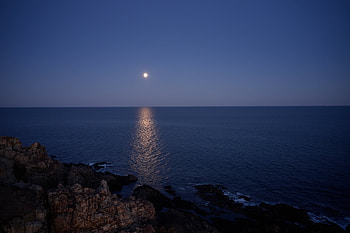 Nature, Water, Sea, Night, Moon, Reflection HD wallpaper