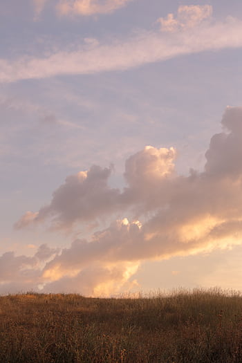 Tranquil countryside scene with a glowing sunset sky and soft clouds. HD phone wallpaper
