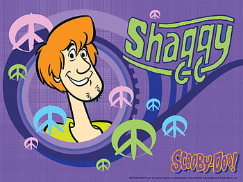 shaggy, scooby doo, tv, funny HD wallpaper