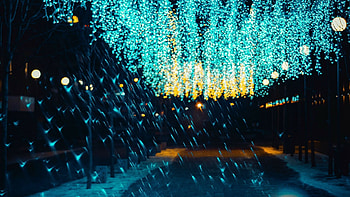 Fairy Lights, Magical ambiance, Captivating glow, Dreamy atmosphere HD wallpaper