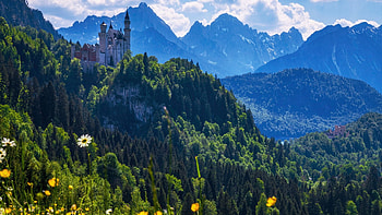 Neuschwanstein Castle, Bavarian Alps, mountains, clouds, landscape, germany, meadow, flowers, sky HD wallpaper