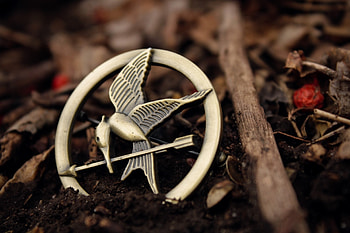 Miscellanea, Miscellaneous, Bird, Land, Earth, Brooch, Icon, Badge HD wallpaper