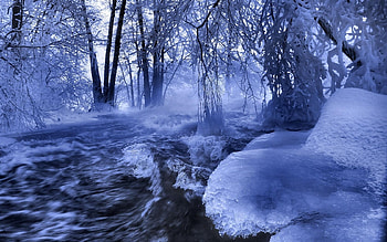 Landscape, Winter, Nature HD wallpaper