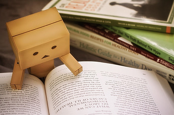 Miscellanea, Miscellaneous, Book, Danbo, Cardboard Robot, Reading HD wallpaper