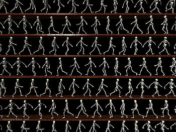 Skeleton Walk, background, black, skeleton, walk HD wallpaper