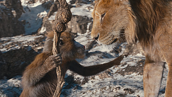 Mufasa: The Lion King - Noble Moments, movie, Mufasa: The Lion King HD wallpaper