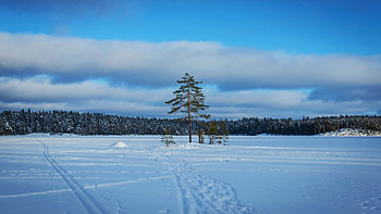 Frozen lake in Nuuksio, Finland, trees, sky, forest, snow, clouds HD wallpaper
