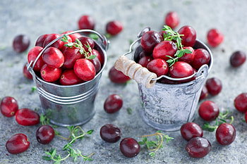 Cranberry allure, indulgence, Visual delight, Food splendor HD wallpaper