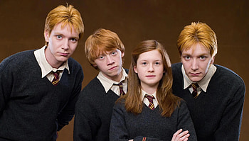 Weasley Family, Harry Potter series, Plot inconsistencies, Weasley enigma HD wallpaper