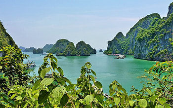 Halong Bay, Vietnam, Nature's beauty HD wallpaper
