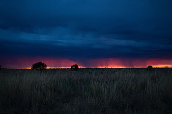 Nature, Sunset, Grass, Clouds, Field HD wallpaper