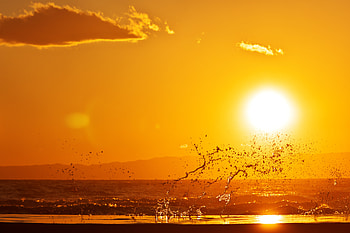 Nature, Sunset, Sea, Sun, Horizon, Spray HD wallpaper