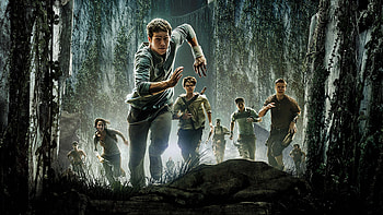 Epic maze runner, Intense movie , maze visuals, Gripping maze adventures HD wallpaper