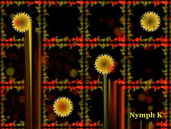 Dandelion tears, dark background, flowers, modern, abstract HD wallpaper