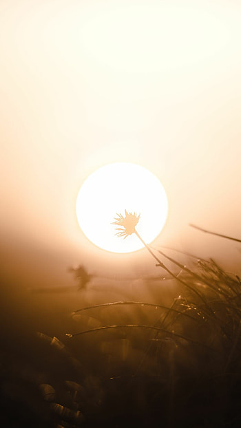 Sun's radiance, Breathtaking landscapes, Majestic beauty, Nature's masterpiece HD phone wallpaper