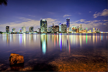 Florida, Natural landscapes, Palm trees swaying, Coastal beauty HD wallpaper