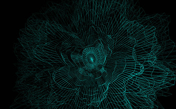 Flower Fractal Ornament Abstract, dark, green, flower, abstract, artist, artwork, art, digital-art HD wallpaper