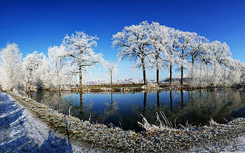 *** Winter ***, winter, snow, trees, nature, lake HD wallpaper