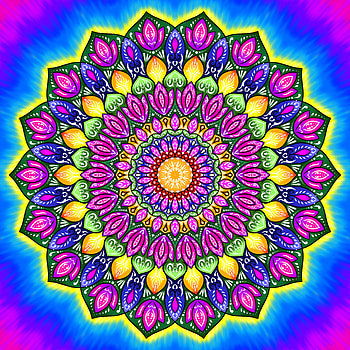 Mandala, magenta, art, colourful HD phone wallpaper
