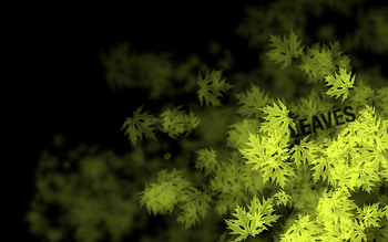 Abstract, Leaves, Patterns, Inscription, Maple HD wallpaper