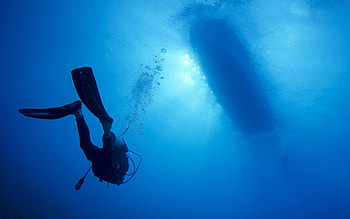 Blue divers, Scuba diving, Water sport, Underwater scenes HD wallpaper