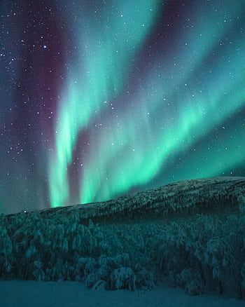 Vivid aurora borealis dances over a winter landscape, illuminating the starry night sky. HD phone wallpaper