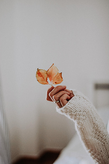 Leaves, Hand, Miscellanea, Miscellaneous, Ring, Fingers, Sweater HD phone wallpaper