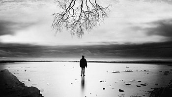 Tree Of Life, graphy, tree, person, monochrome, black-and-white HD wallpaper