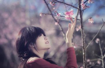 asian, woman HD wallpaper
