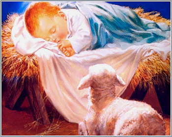 Sweet newborn Jesus, god, sheep, baby, jesus, christ, religion HD wallpaper