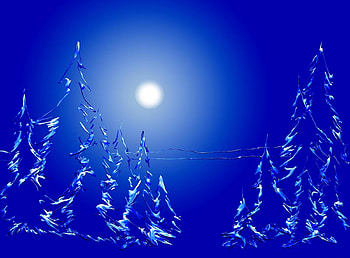 Blue Background, Holidays, Night, Moon, Fir-Trees, Forest HD wallpaper
