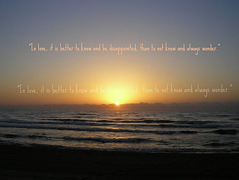 love qoutes, paradise, seagull, hammock, britney spears HD wallpaper