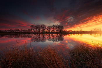 France Spring Lake Grass, grass, france, spring, lake, nature HD wallpaper