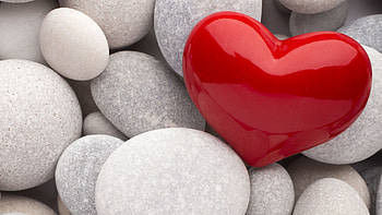 Love For 2560 x 1440 px 1.08 MB sad animated quotes HD wallpaper