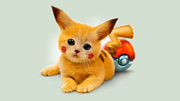 Art, Miscellanea, Miscellaneous, Kitty, Kitten, Eyes, Redhead, Pokemon, Pokémon, Pikachu HD wallpaper