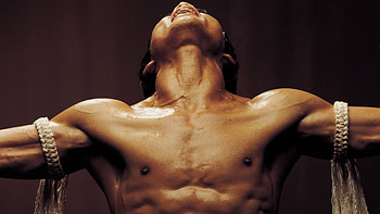 Ong Bak Muay Thai Warrior, The Movie Database, Fight scenes, Action-packed HD wallpaper