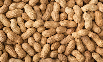 Peanuts (Food), Seneps plant choice, Nut cultivation, Tasty treat HD wallpaper