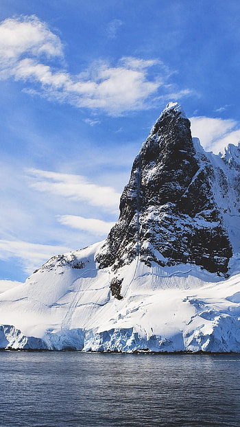 60 Antarctica , play HD phone wallpaper