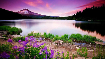 Nature Scenery, scenery, nature HD wallpaper
