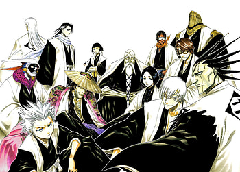 Bleach characters , Captivating personalities, Diverse cast, Epic battles HD wallpaper