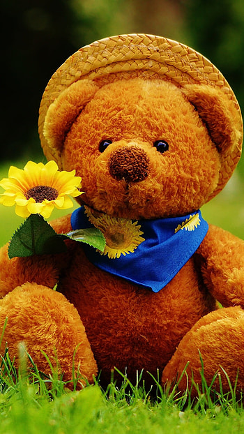 Teddy Bear Live, Cute Toy HD phone wallpaper