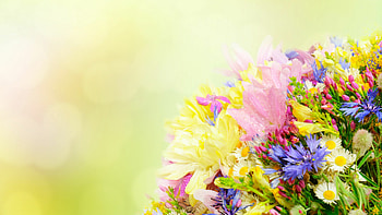 Flower Bouquet, Spring bouquet , Fresh blossoms, Floral beauty HD wallpaper