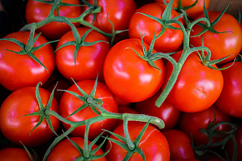 Tomato , Culinary inspiration, Fresh produce, High-resolution HD wallpaper
