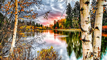Fall Colors, sky, water, reflections, autumn, trees, clouds HD wallpaper
