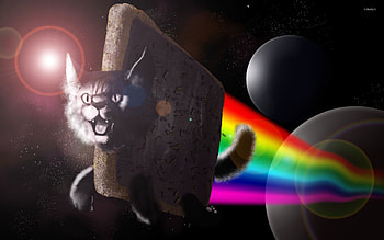 Nyan Cat [6] jpg HD wallpaper