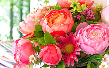Bouquets Gerberas Flowers Peonies HD wallpaper
